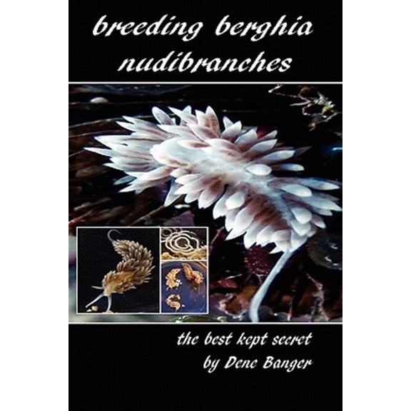 Breeding Berghia Nudibranches the Best Kept Secret