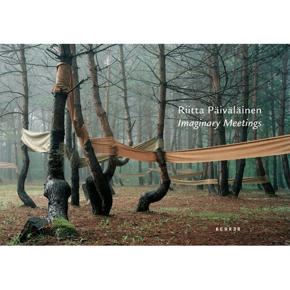 Imaginary Meetings (Hardcover)