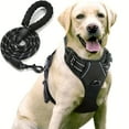 thumbnail image 2 of DABEI ISafe and Stylish Reflective Dog Harness and Leash Set for Nighttime Walks, 2 of 10