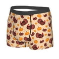 thumbnail image 2 of Daiia Thanksgiving Turkey and Pumpkin Men's Underwear Boxer Briefs, Cotton Stretch Moisture-Wicking Underwear-Large, 2 of 9