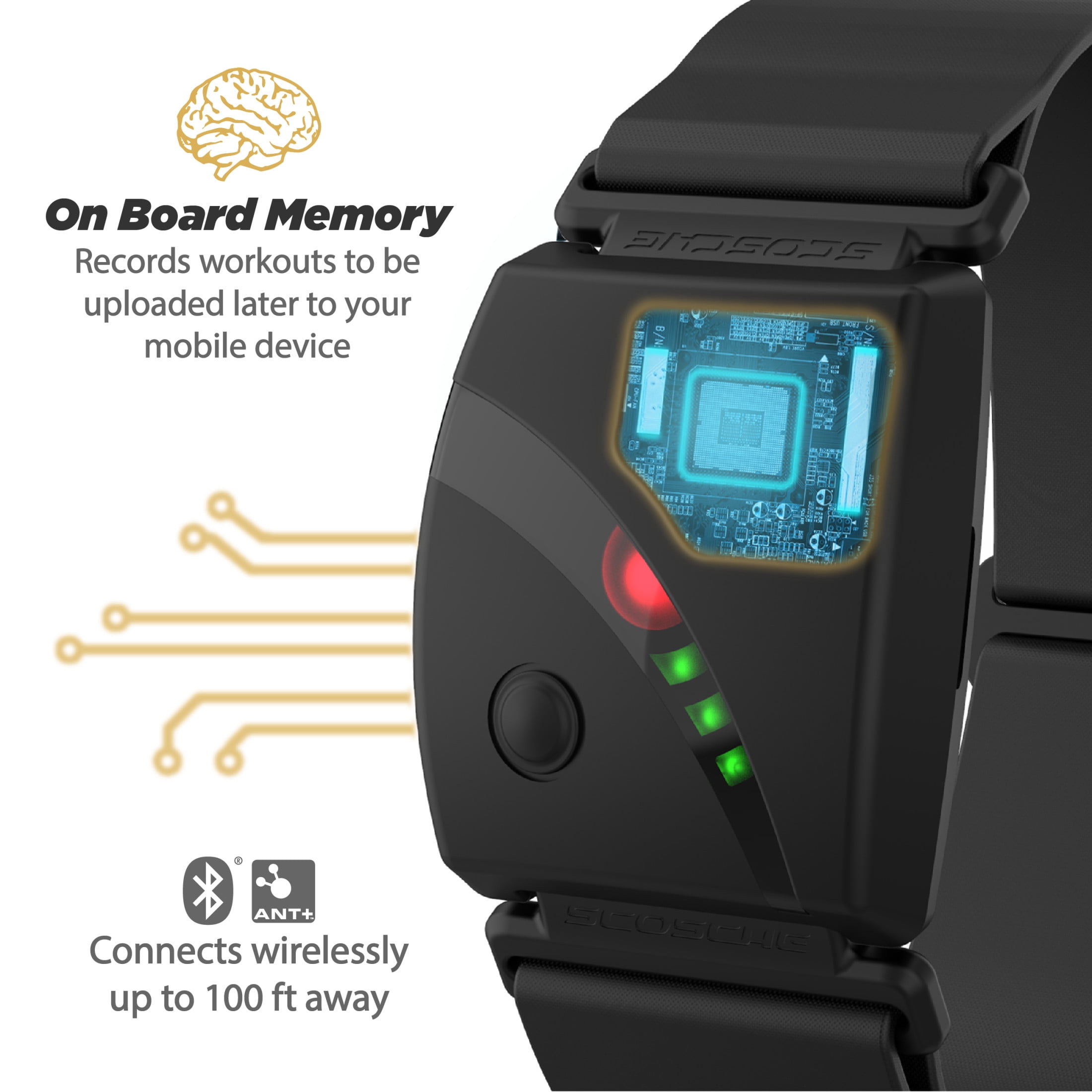Scosche RHYTHM Dual ANT /Bluetooth Smart Optical HR Band In-Depth