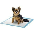 thumbnail image 2 of Gravitti Puppy Training Pads 22"X22"-100pk, 2 of 4