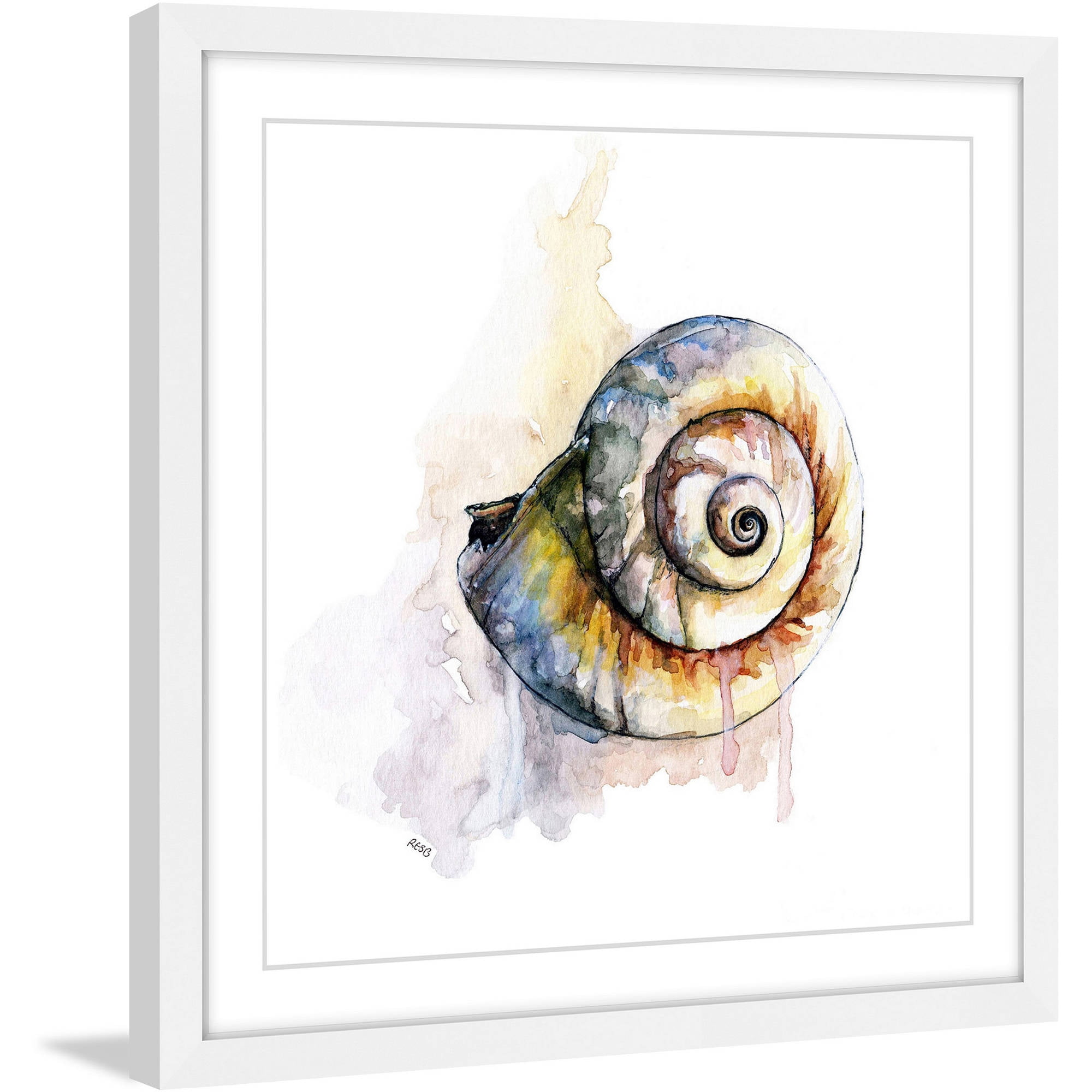 "Snail Shell" by Rachel Byler Framed Painting Print