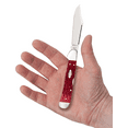 thumbnail image 5 of Case XX Knives Copperlock Dark Red Bone Carbon Steel Pocket Knife, 5 of 5