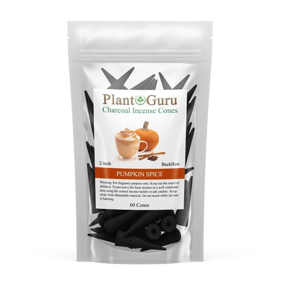 Pumpkin Spice Charcoal Incense Cones 2" BACKFLOW - 60 Pack - Natural Scented Cones Handmade Hand Dipped