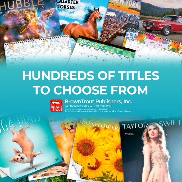 Large Print | 2024 12x24" (Hanging) Wall Calendar | Matte | BrownTrout -  Walmart.com