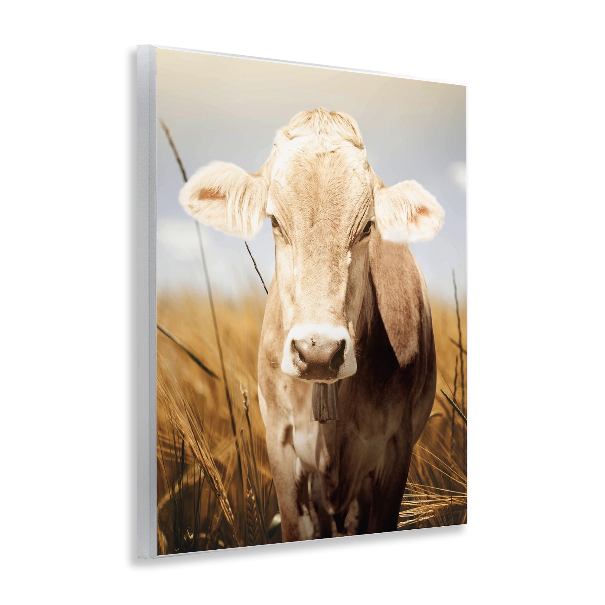Stupell Industries Simple Belle Cow Portrait Wall Plaque Art, design by Marcus Prime