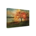 thumbnail image 2 of Lois Bryan 'Cherry Tree Sprinkled with Spring' Canvas Art, 2 of 3