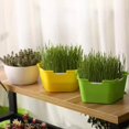 thumbnail image 2 of Nursery Pot Easy to Use Corrosion-resistant Plastic Sprout Planting Pot Box for Garden, 2 of 8