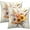 Sunflower Fall, variant on Hydrangea Flower Throw Pillow Cover Set of 2 18x18 Inch Vintage Blue Purple Floral Jar Watercolor Decorative Couch Pillow Cushion Case for Outdoor Patio Living Room Bedroom Decor