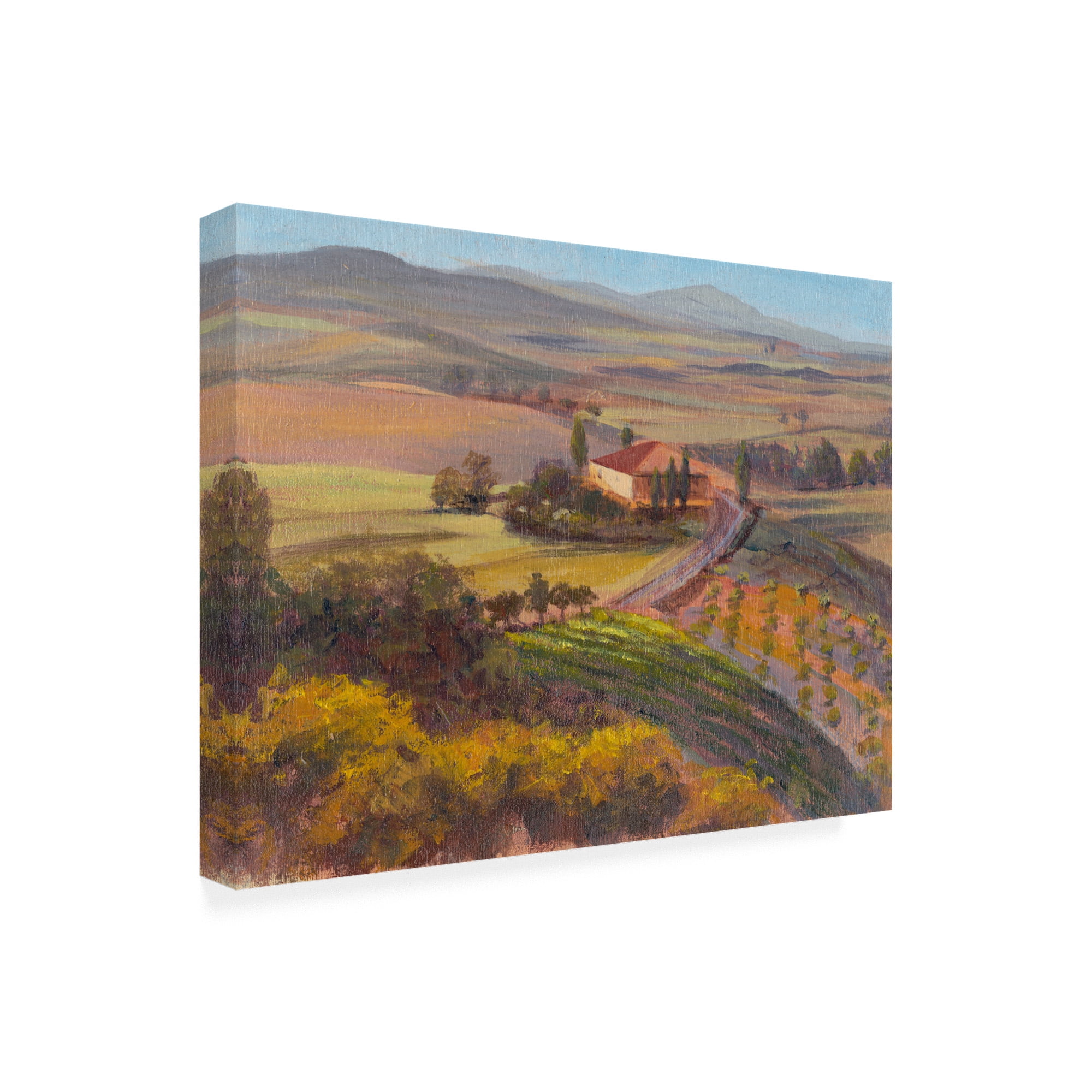 Trademark Fine Art 'Nostalgic Tuscany I' Canvas Art by Sandra Iafrate