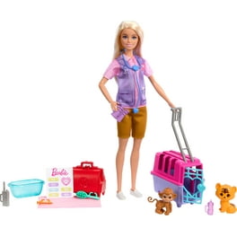 Replacement Stickers for Barbie Care Clinic Barbie Doll Playset FRM19 Barbie Care Clinic Replacment Labels Sheet C Stickers 11 21 Walmart