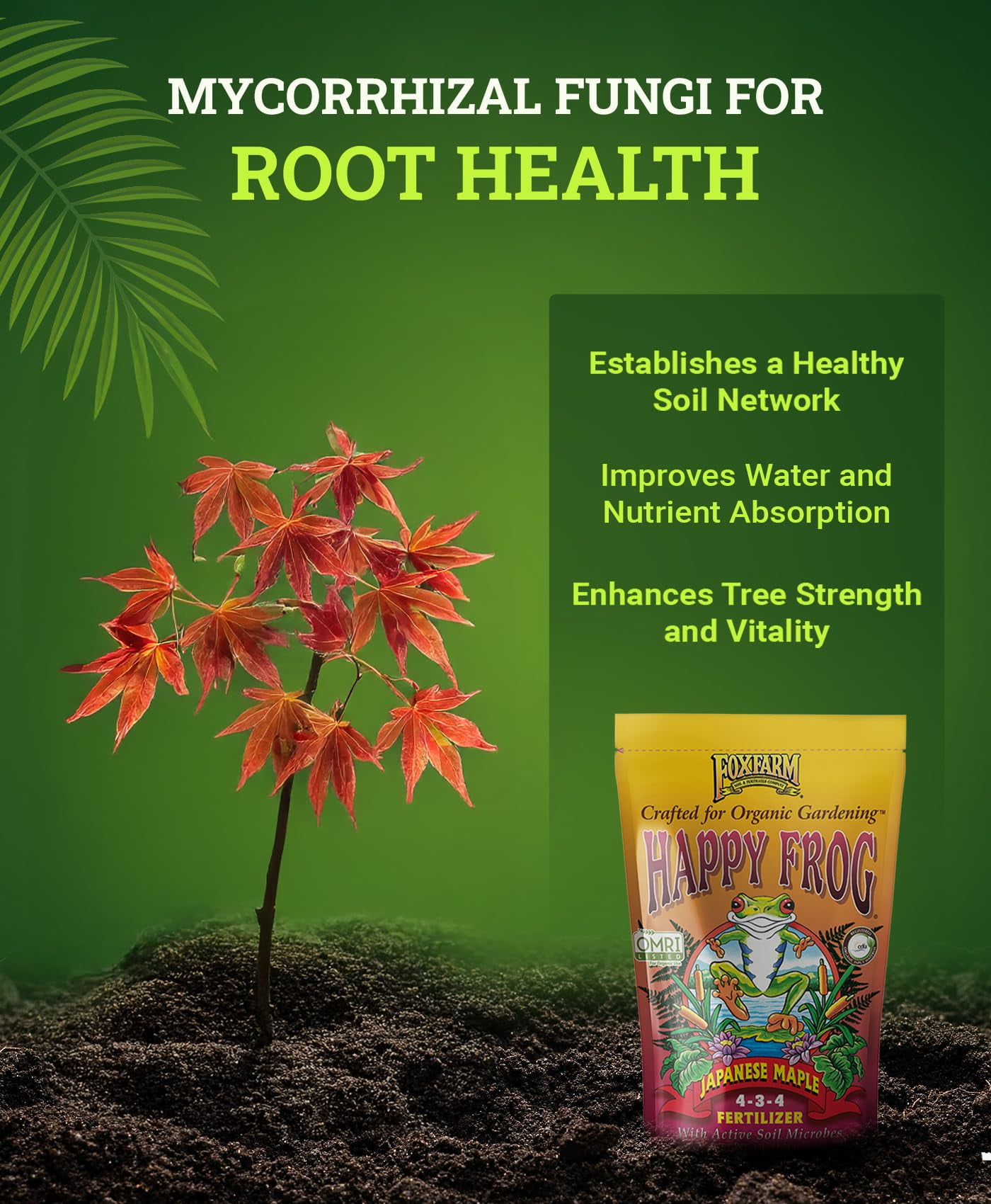 Happy Frog Japanese Maple Fertilizer, Nutrient-Rich Formula for Japanese Maples, & Low pH Feeders, NPK 4-3-4 (4 lb)