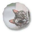 thumbnail image 1 of Activité Animale Chat Photographie Photo Ronde Coussin Coussin Décoration Maison, 1 of 3