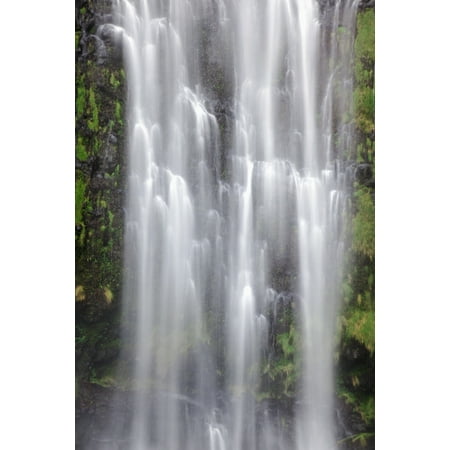 Hawaii Maui A waterfall in Kipahulu with lush foliage Stretched Canvas - Jenna Szerlag  Design Pics (12 x (Best Waterfalls In Maui)
