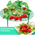 thumbnail image 4 of 5 Packs Strawberry Plant Supports, Easy to Use Strawberry Support with 4 Sturdy Leg, Adjustable Strawberry Supports Stand Balcony Vegetable Rack, Protection of Strawberry Plant from Mold, Rot and Dirt, 4 of 7