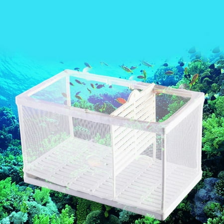 Plastic Transparent Aquarium Self-floating Isolation Box Network