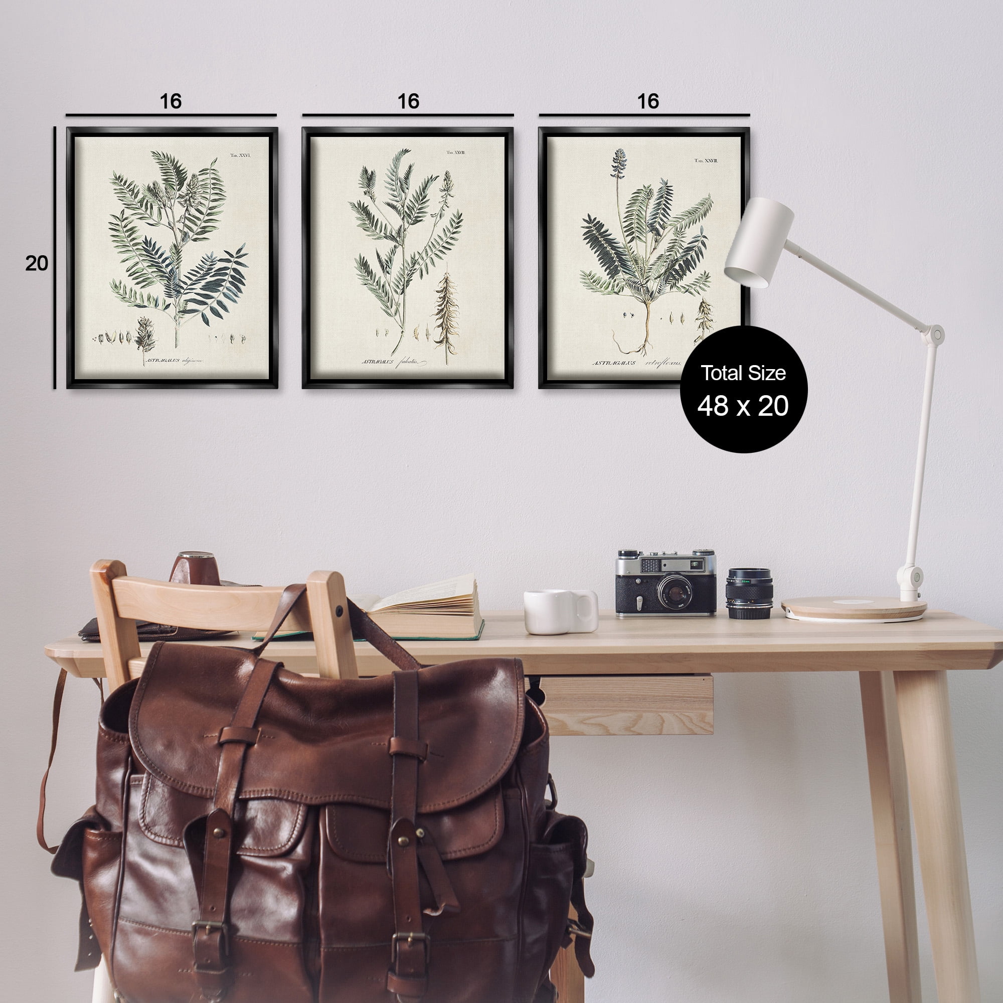 Stupell Industries Green Botanical Latin Study Botanical & Floral Drawing Black Floater Framed Canvas Art Print Wall Art, 17 x 21, Set of 3