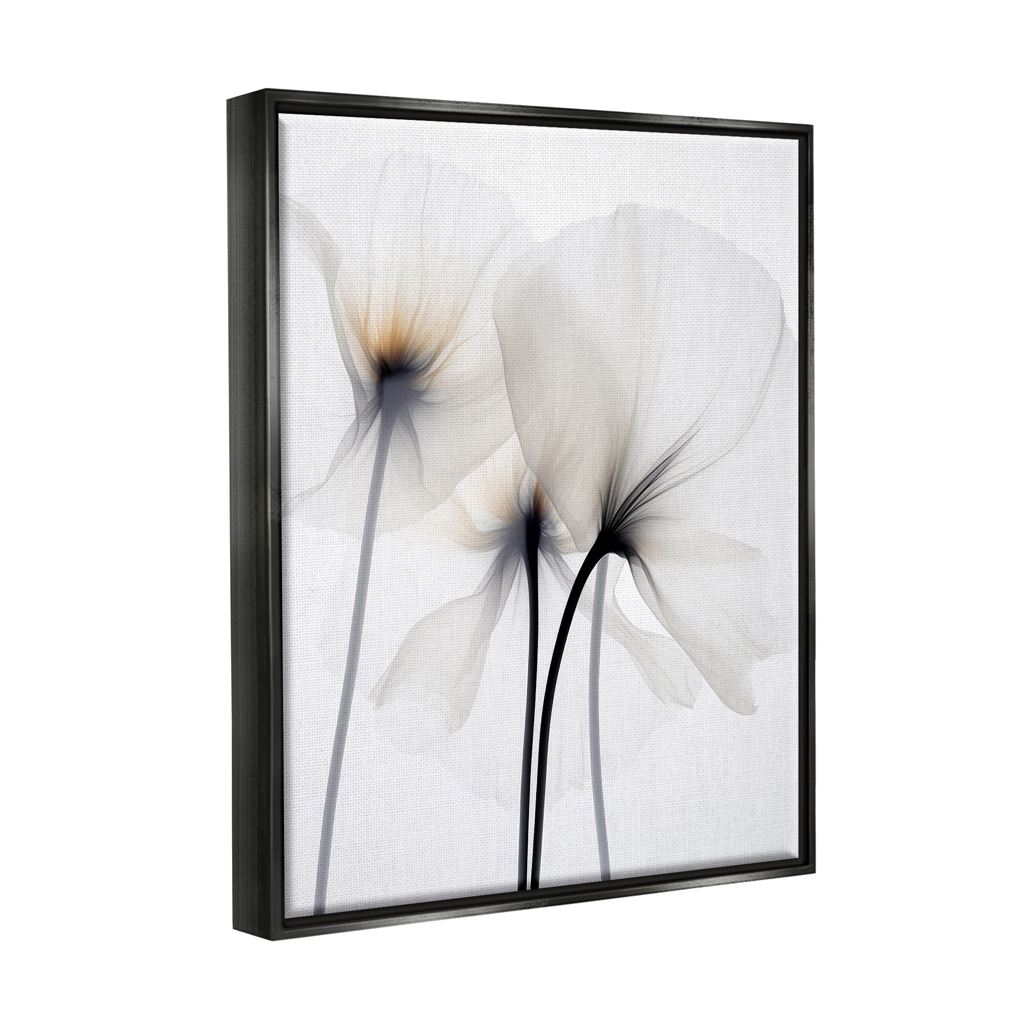 Stupell Industries White Poppy Photography Botanical & Floral Photography Black Floater Framed Canvas Art Print Wall Art, 25 x 31