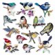 thumbnail image 1 of Lote de 13 parches bordados con forma de pájaros para coser y planchar en camisetas, abrigos y bolsos., 1 of 5