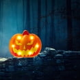 thumbnail image 4 of Decoraciones de Halloween en 3D de dibujos animados Luces LED Impermeable con pilas Bar Jardín Decoración de escritorio Decoración de Calabaza A Soledad Calabaza de halloween, 4 of 8