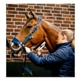 thumbnail image 2 of HORSEWARE IRELAND Horseware Signature Grooming Headcollars, Color: Navy, Size: Horse, 2 of 5