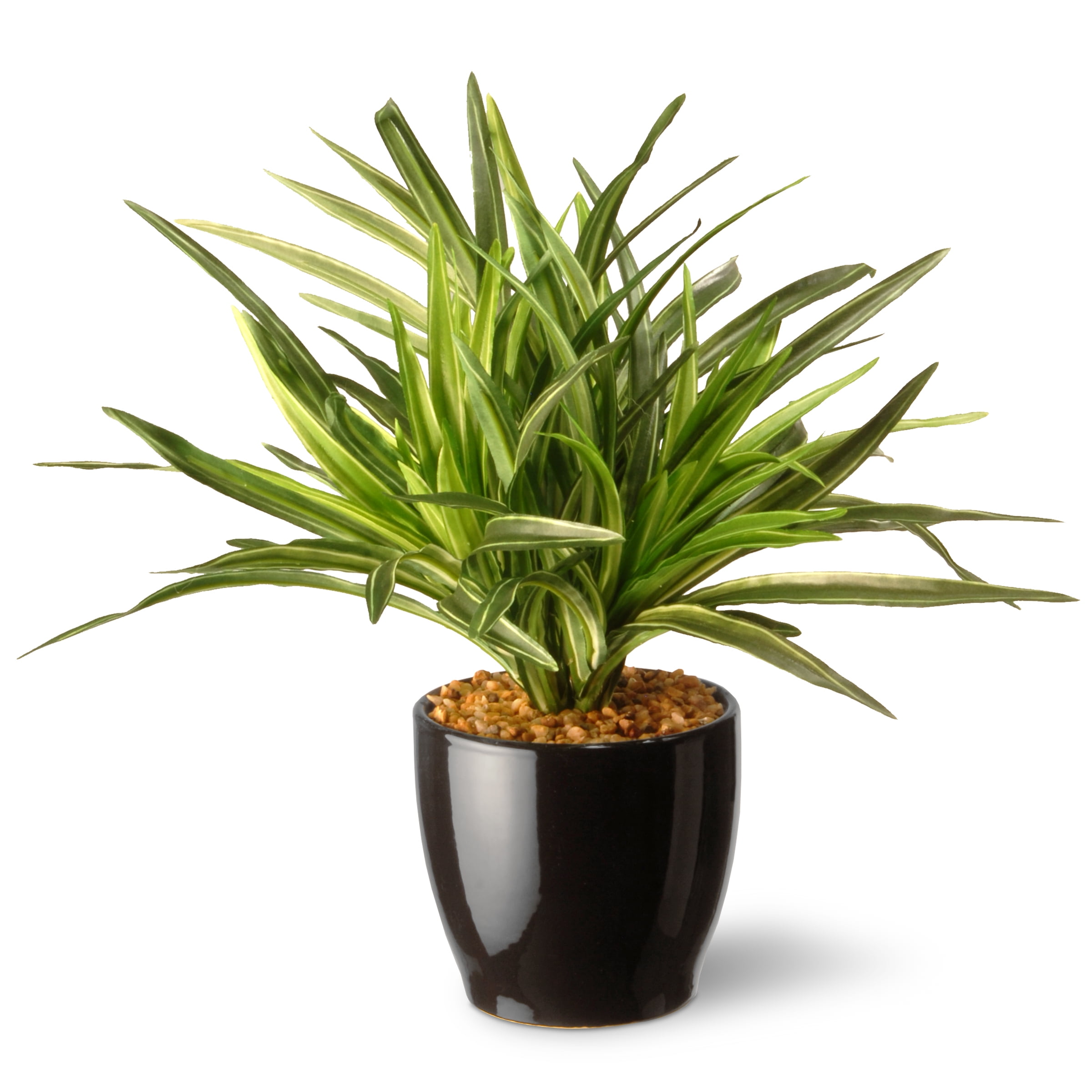 National Tree Artificial 10.5&quot; Dracaena Plant Walmart