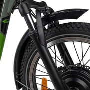 NAKTO S02 400 lbs Capacity Electric Tricycle for Adults, 48V 16Ah Battery, 750W Peak Rear Hub Motor, 60-Mile Long Range Electric Trike, Dual Disc Brakes, Green