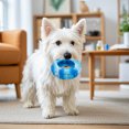thumbnail image 5 of mdesiwst Interactive Dog Toy Tire Shape Textured Dog Chew Toy Teeth Cleaning Toy for Aggressive Chewers Tug-of-War Toss And Catch, 5 of 8