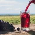thumbnail image 4 of Welch's On the Go Water Drink Mix Grapes Flavor No Sugar Gluten Free and Low-Calorie Powdered Beverages for Home Lunch Office Gym Picnic Camping Indoor Outdoor Drinks 6 Sticks Pack of 6, 4 of 7