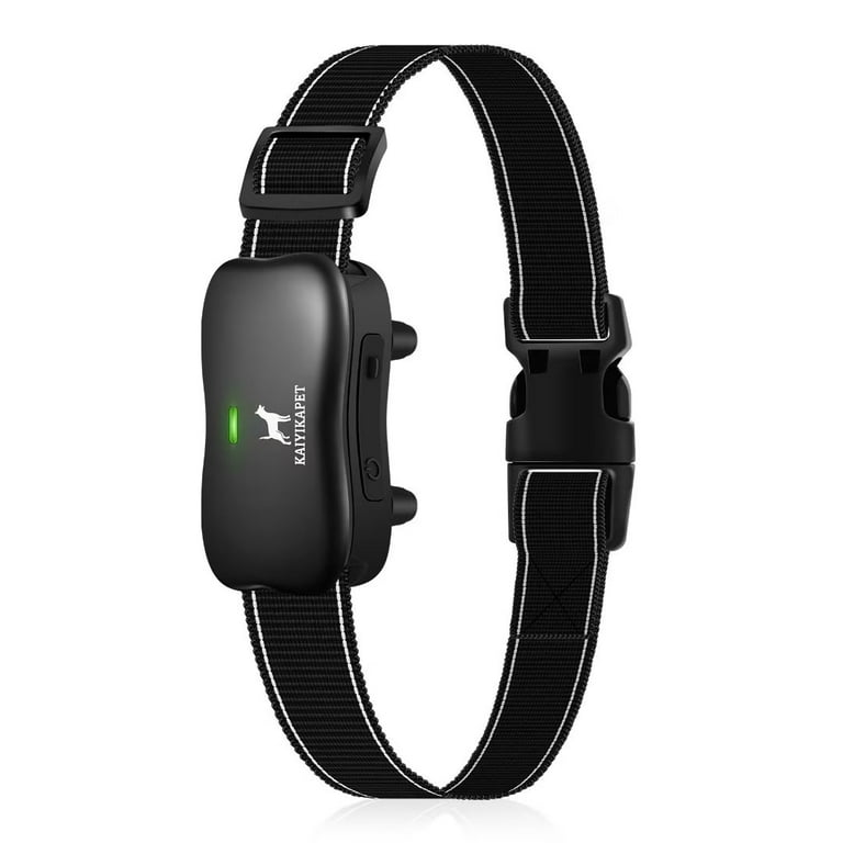 Shock collar sale without remote