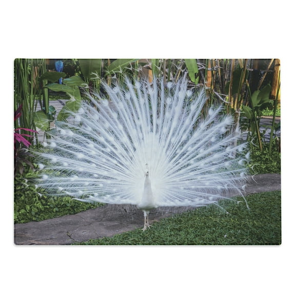 Peacock Cutting Board, Peacock Open His Tail Feathers in Tropical Garden Unusual Birds Nature Ornament, Decorative Tempered Glass Cutting and Serving Board, Large Size, White Green, by Ambesonne