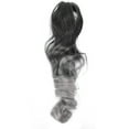 thumbnail image 2 of Extensiones de cabello de cola de caballo, postizos de cola de caballo de moda de 55 cm encantadores para fiestas para la vida diaria LHCER Descripción de la referencia, 2 of 8