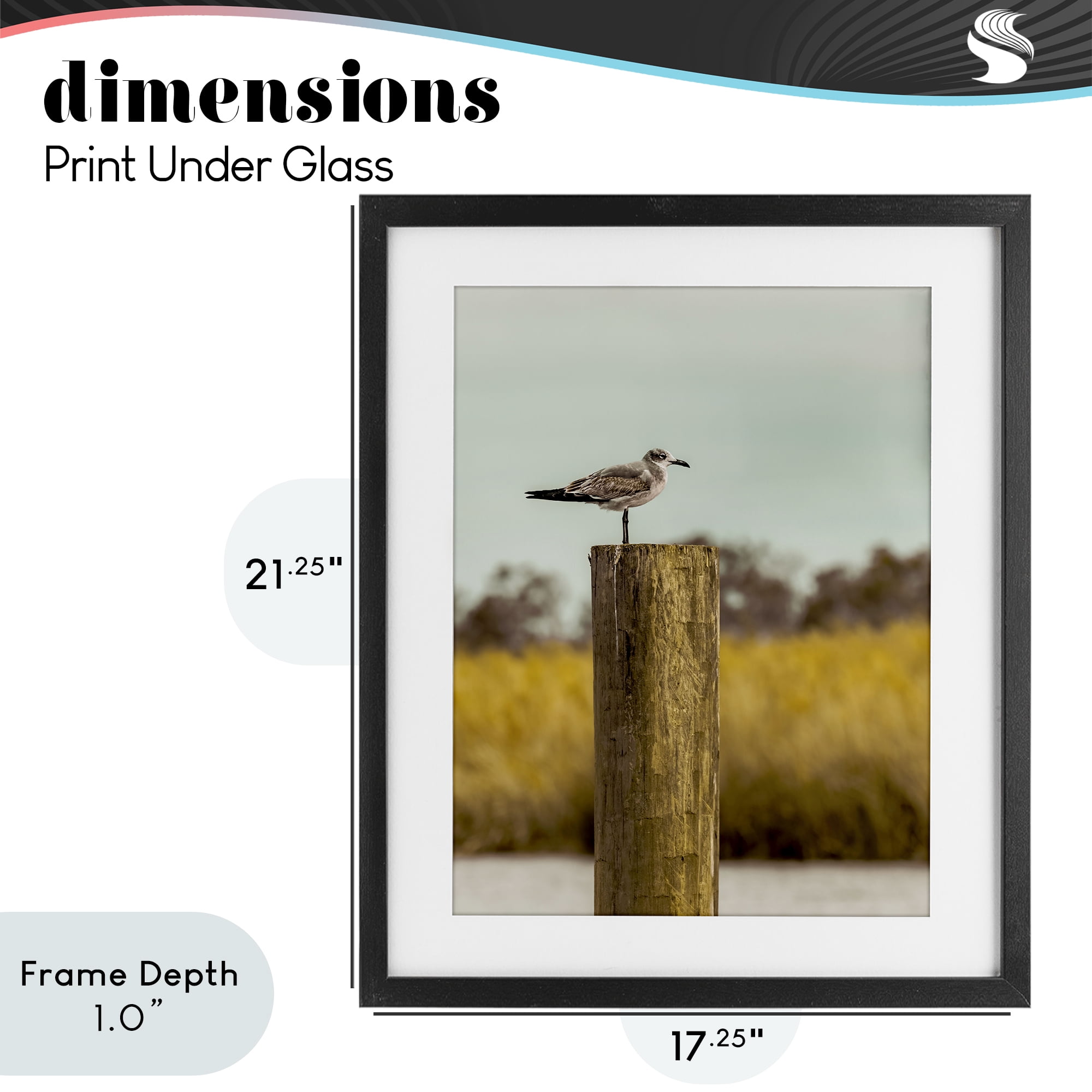 Stupell Industries Gull On Piling Black Framed Print Under Glass, design by Christy Berry