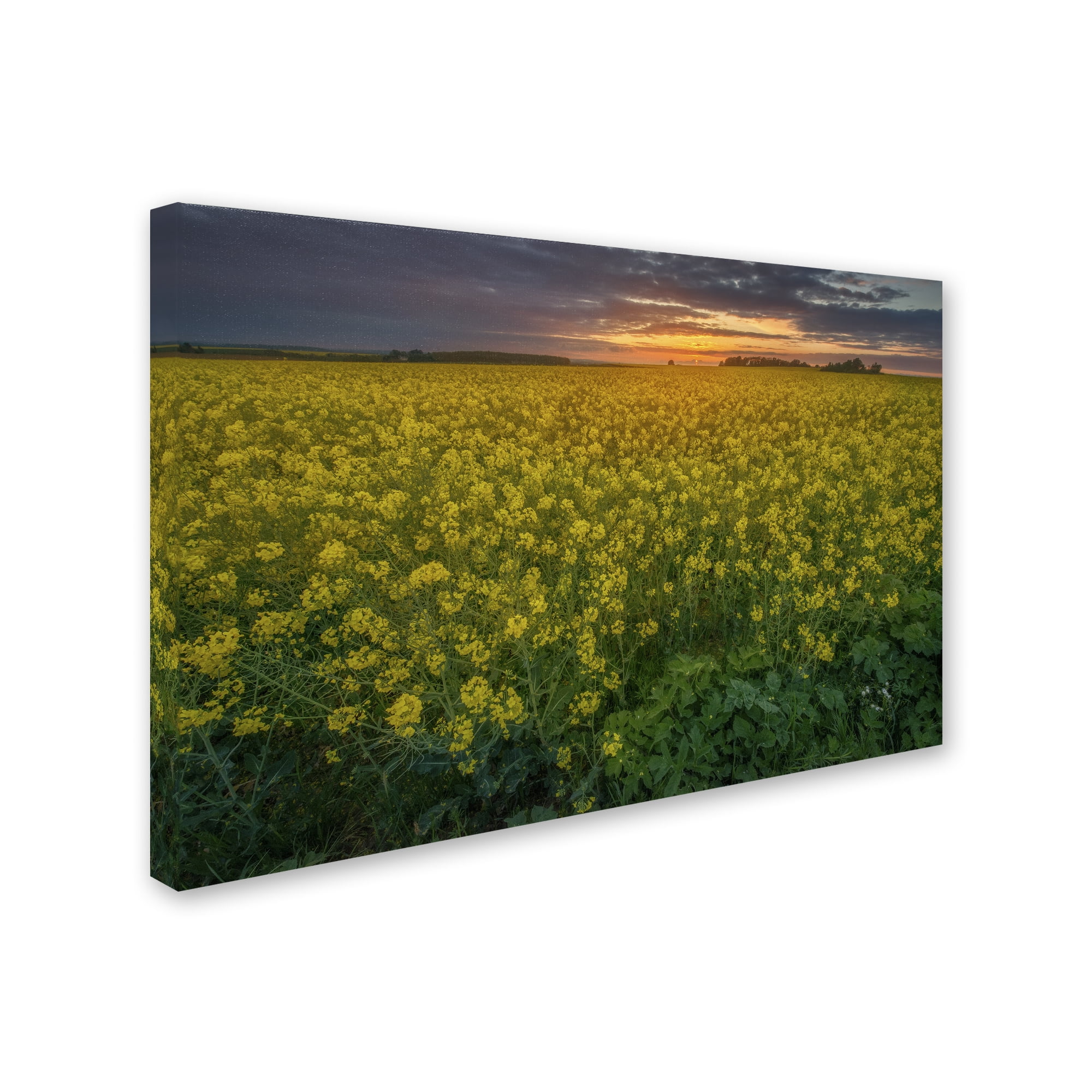 Mathieu Rivrin 'Yellow Planet' Canvas Art 16 x 24