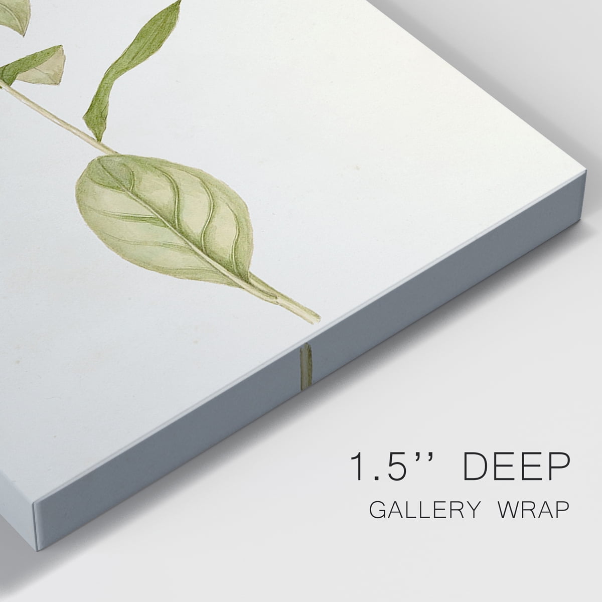 Mauve Garden Flowers IV Premium Gallery Wrapped Canvas - Ready to Hang - 40 x 60 Each