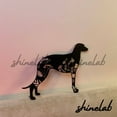 thumbnail image 3 of Shinelab FLoral Scottish Deerhound Metal Sign, Custom Name Family Dog LED Wall Art, Animal Home Decor 8313, 3 of 3