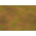 thumbnail image 1 of Ahgly Company Machine Washable Indoor Rectangle Transitional Saddle Brown Area Rugs, 2' x 3', 1 of 7