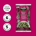 thumbnail image 2 of Taylor Farms Sweet Kale Chopped Salad Kit, 12 oz Bag, Fresh, 2 of 7