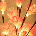 thumbnail image 4 of Xihbxyly Ramas de Flores Led Brillantes, 20 Luces Led Blancas Suaves, Tallos Flexibles, Decoración para El Hogar y Fiestas, Ambiente Acogedor para La Sala de Estar, Funciona con Pilas, Tamaño de 70 C, 4 of 7
