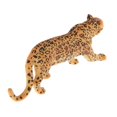 thumbnail image 4 of Simulation Animal Figures Model Kids Educational Toys Gifts and curiosity, Leopard, 4 of 7
