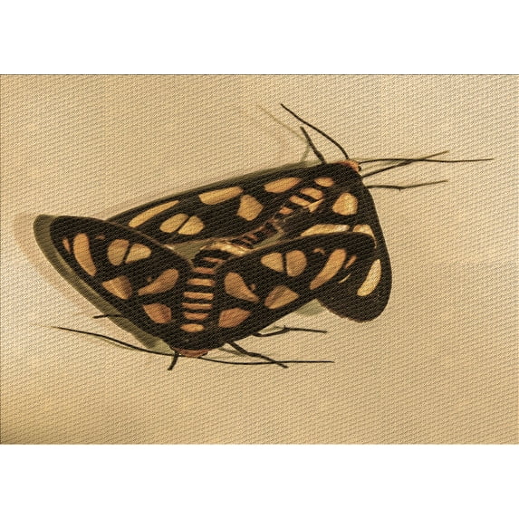 Ahgly Company Machine Washable Indoor Rectangle Transitional Light Brown Area Rugs, 5' x 8'