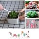 thumbnail image 3 of 16 piezas Mini herramientas de jardín Herramienta de plantación Plantas herbáceas Herramientas de jardinería Planta crasulácea Tanque de plástico para trasplantar plantas suculentas Rosa TUNC Sencillez, 3 of 3