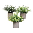 thumbnail image 4 of 3 Piezas de Plantas Falsas en Maceta Strade Fareast Limited Decorativas de Imitación 8 cm x 8 cm, 4 of 8