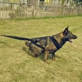 thumbnail image 4 of Dog Sled Weight Pulling Training Harnesses for Large Dogs Behaviors Training, Dog Pulling Sledding Harnesses for Weight Pulling,Canicross,Ski-Joring, 4 of 7