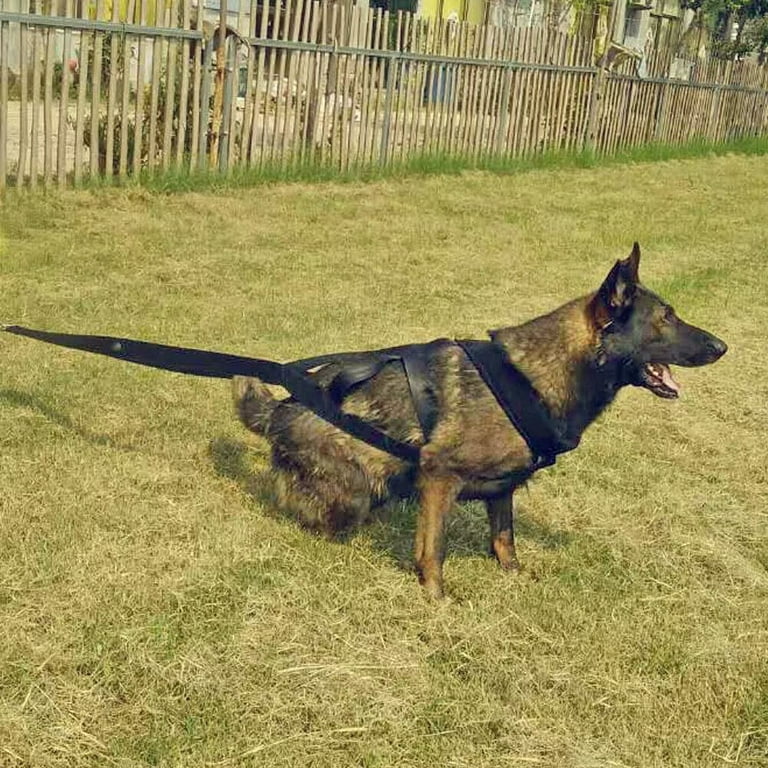 Weight 2025 pulling training