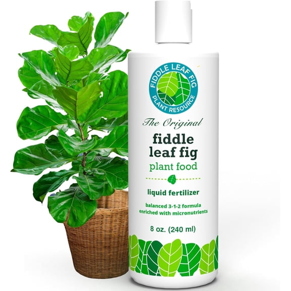 Fiddle Leaf Fig Plant Food  312 Balanced NPK Liquid Fertilizer for Larger Leaves, Stronger Roots & Steady, Vibrant Growth  Suitable for All Ficus Including Ficus Lyrata  Made in USA  8 oz