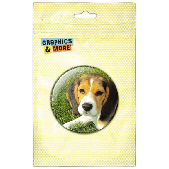 Beagle on Grass Pinback Button Pin Badge