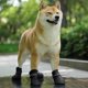 thumbnail image 4 of Zapatos para perros, botas impermeables de silicona, zapatos antideslizantes de protección contra la lluvia para perros pequeños (negro), 4 of 5