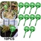 thumbnail image 1 of Riego Por Goteo Con Forma Transparente PVC para Plantas Interiores () Verde, 1 of 5